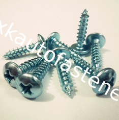 China Large flat head  Self tapping screw supplier
